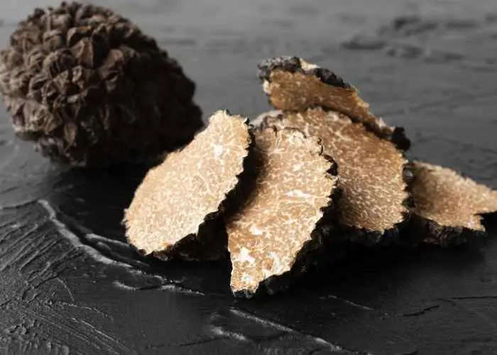 Siyah Trüf (Tuber melanosporum)