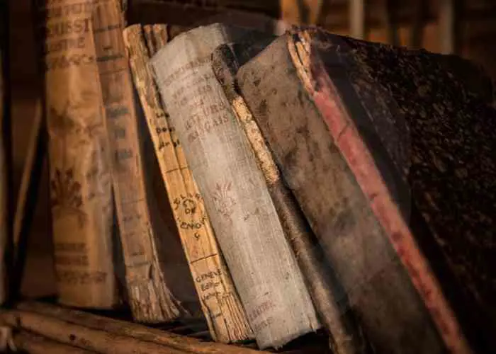 Gastronomi Sözlüğü